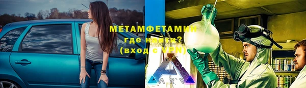 индика Богородск