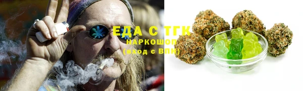 индика Богородск