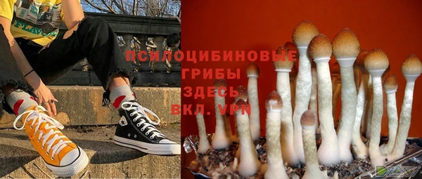 индика Богородск