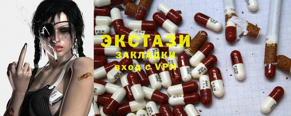 индика Богородск