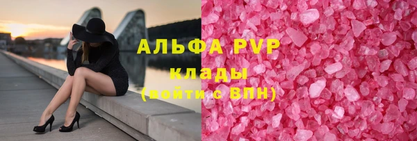 ГАЛЛЮЦИНОГЕННЫЕ ГРИБЫ Белокуриха